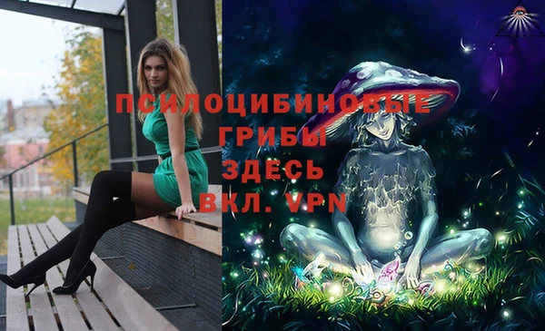 крисы Россошь
