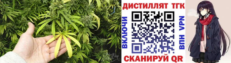 Купить  Пыть-Ях  Дистиллят ТГК Wax 